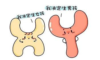 你知道Y染色体检测为什么要以B超为准吗?图片