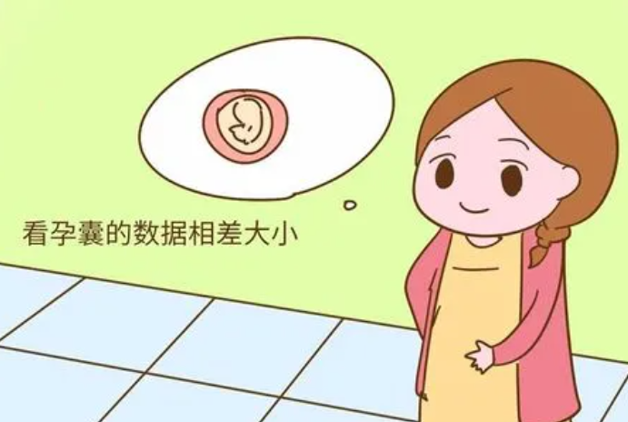 孕囊数据怎么看男女.png