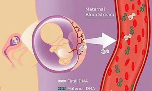 香港无创DNA产检新突破图片