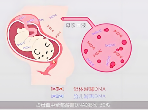 香港无创DNA检查：利弊权衡图片